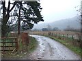 Exe Valley Way passing Pynes