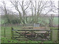 TR2967 : Gate near Little Brooksend Farm by David Anstiss