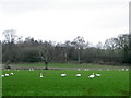 SU1410 : Swans near Harbridge by Maigheach-gheal