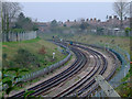 The Piccadilly Line