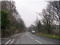 Pudsey Road - viewed from near Ivy Chase