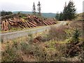 NM8907 : Felled forestry by Patrick Mackie