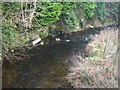 Bend in the Aughrim River below the Mountain Road Bridge