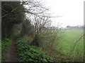 Footpath to Westwood Road