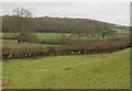 Countryside near Old Basing