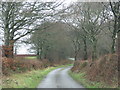 Road  to Burrington Moor Cross