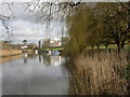 Christchurch, river bank