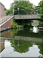 Lifford Lane Bridge in King