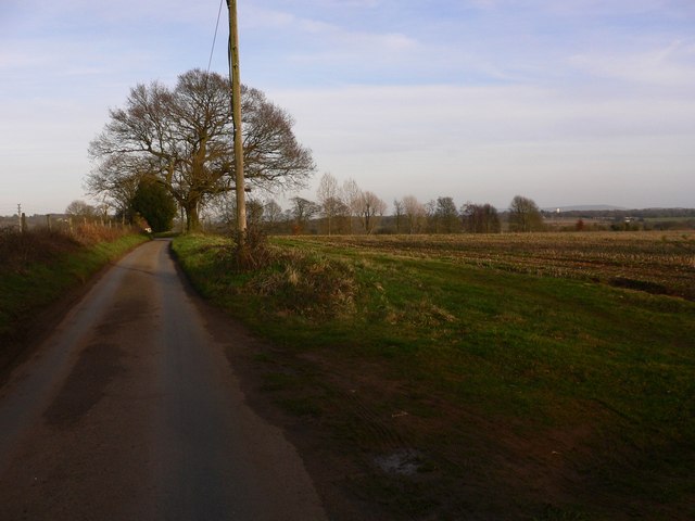 Looking east along Highfield Lane towards Puttenham