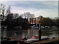 Riverside houses near Marble Hill Park