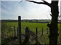 Farmland, North Wingfield