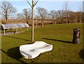 The Tree, the Bin and the Sculpture (2)