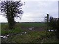 TM3867 : Footpath to the A12 Main Road & Tiggins Lane by Geographer