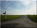 The farm road to poolthorne Farm