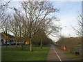 Cyclepath beside North Dane Way