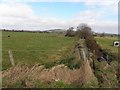 Aghalougher Townland