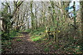 Footpath on Moult Hill