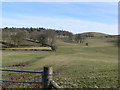 Countryside, Pant Du