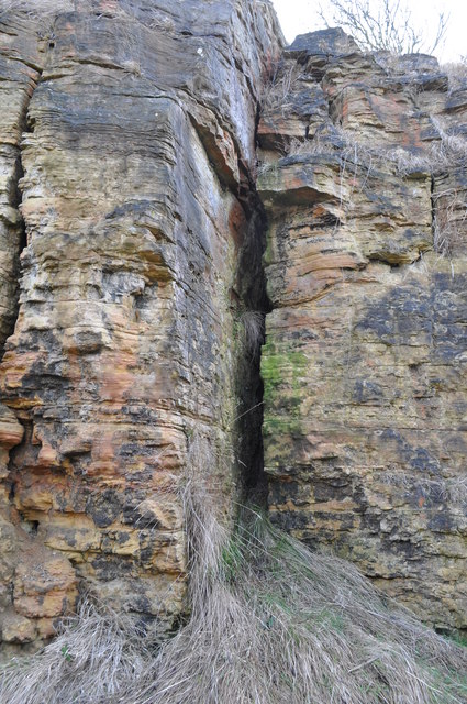 Fissure in the Limestone