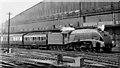 The 1948 Locomotive Exchanges: an LNER Pacific entering Paddington