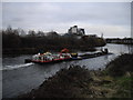 Unusual craft on the Taff, Cardiff