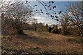 Footpath beside the Hoddnant - Boverton