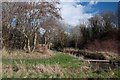 Bend and trees on the Hoddnant - Boverton