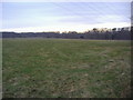 Fields by Tollgate Road, Colney Heath