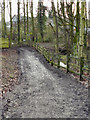 The Path Into Worsley Woods