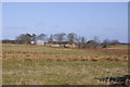 View towards Newtonhill Farm