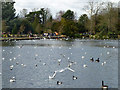 Lake, Kelsey Park