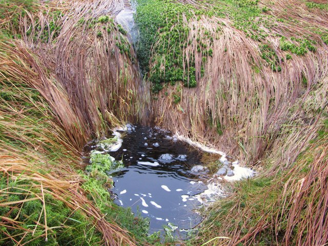Source of the River Ure