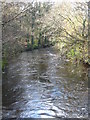 The River Fowey downstream from New Bridge