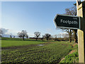 Footpath No.2 sign and cropped fields at Great Glemham