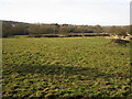 Paddock near College Farm, Blunt