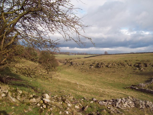 Upper Reaches of Cales Dale