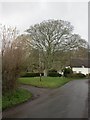ST6805 : Buckland Newton, village pound by Mike Faherty