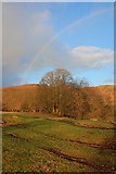 SD3784 : Rainbow Over Chapel House Plantation by Mick Garratt