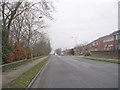 Flockton Avenue - Lister Avenue