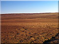 NY7053 : Panorama from Hog Hill (11: ENE - Low Bradshaw Hill) by Mike Quinn