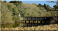 Quoile floodgates, Downpatrick (2)