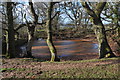 Pond near Plash Farm