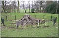 Fossil Tree - Bowling Park