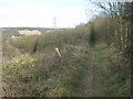 Footpath on Whinless Down