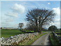 Country lane near Taddington