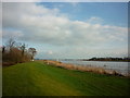 Looking east along the Ouse at Saltmarshe