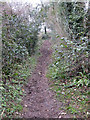 Inclined bridleway