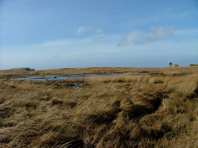 Boggy ground at Kilvaxter