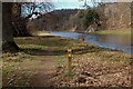 Borders Abbeys Way near Lowood House