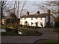 Cottages in the village of Risby